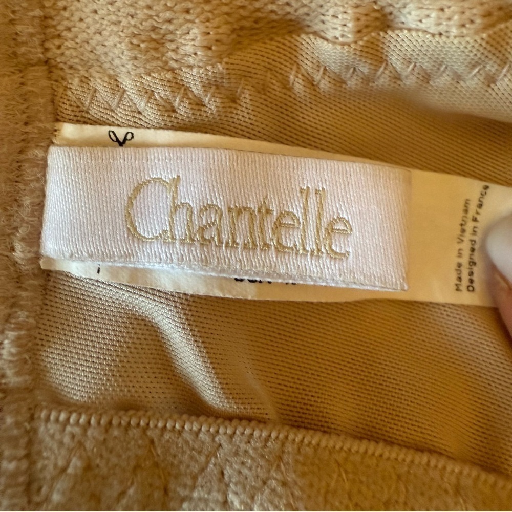 Chantelle Full Figure Lace Underwire Bra - Nude - Picture 6 of 8